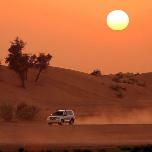 Evening Desert Safari